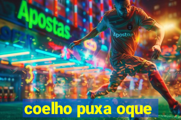 coelho puxa oque